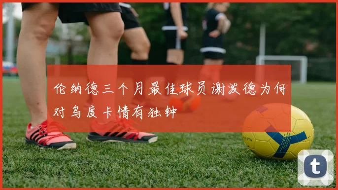 伦纳德三个月最佳球员谢泼德为何对乌度卡情有独钟
