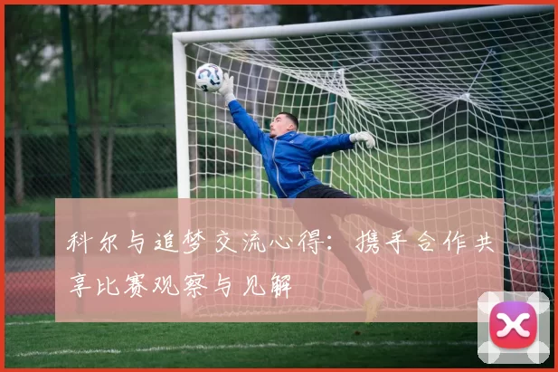 科尔与追梦交流心得：携手合作共享比赛观察与见解