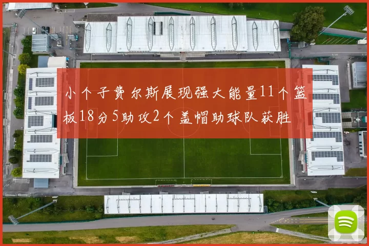 小个子费尔斯展现强大能量11个篮板18分5助攻2个盖帽助球队获胜